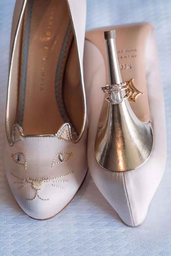 gatos