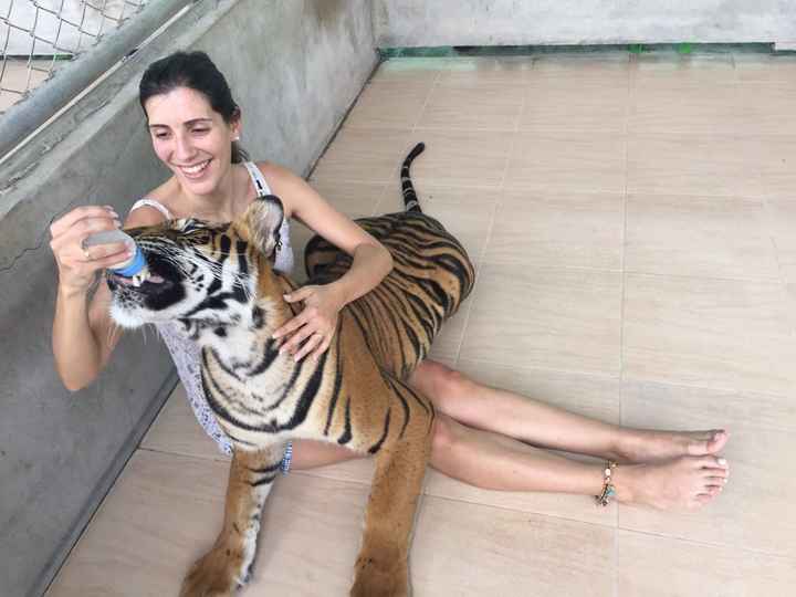 Um cheirinho do nosso dia e da nossa lua de mel! - 32