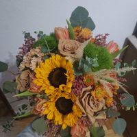 Recomendações ramo no Porto ou arredores - 2