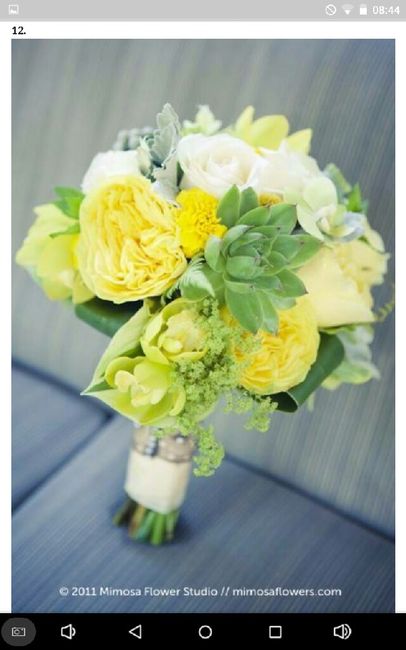 As minhas escolhas pantone para 2018 11