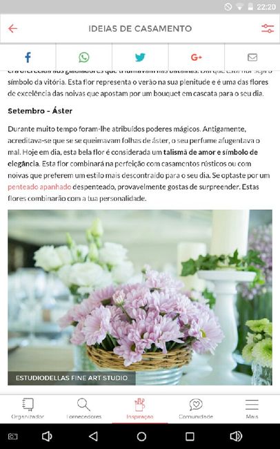  Que flores escolher de acordo com o mês do casamento? (rita) - 1