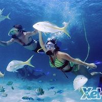 Xel-ha
