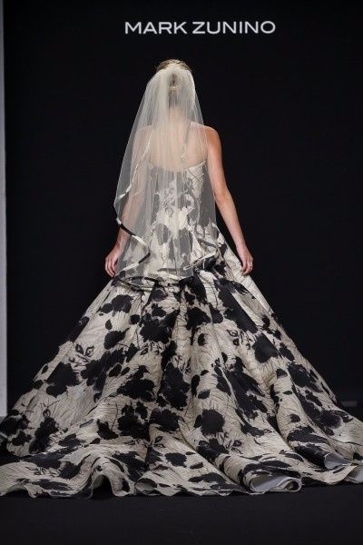 Mark Zunino 20 trás