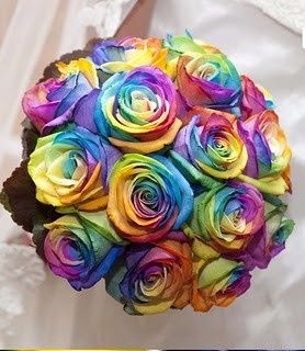 arco iris