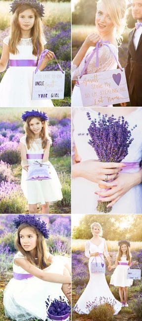 Lavanda