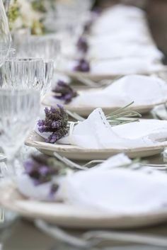 Lavanda