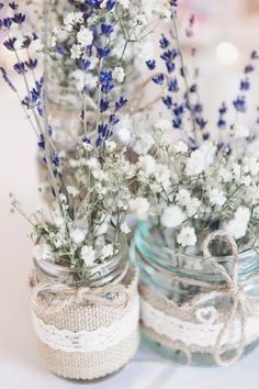 Lavanda