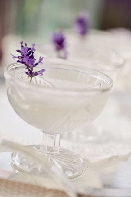 Lavanda