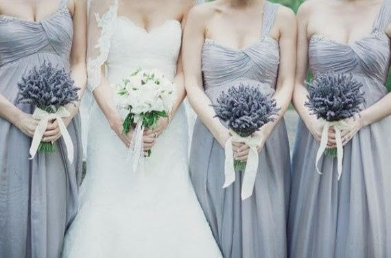 Lavanda