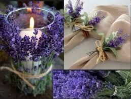 Lavanda