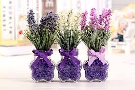 Lavanda