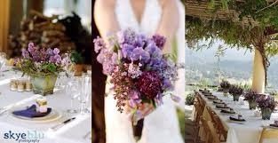 Lavanda