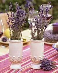 Lavanda