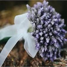 Lavanda