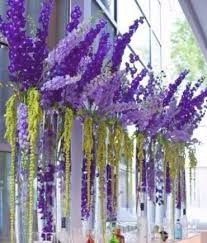 Lavanda