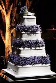 Lavanda