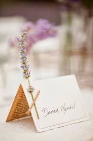 Lavanda