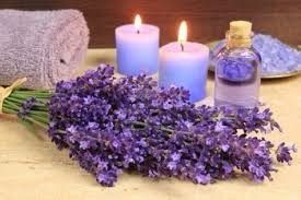 Lavanda 