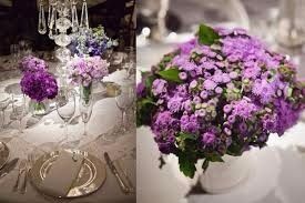 Lavanda