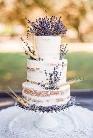 Lavanda