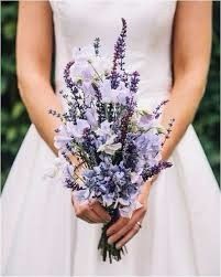 Lavanda
