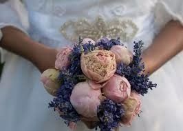Lavanda