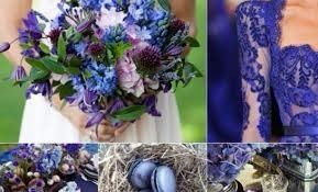 Lavanda