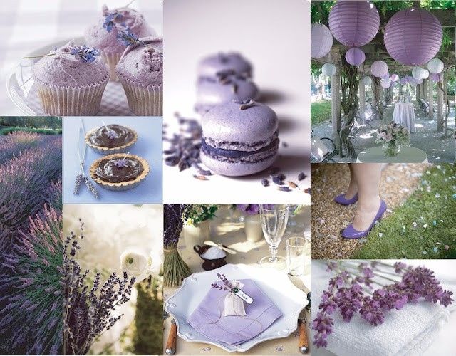 Lavanda