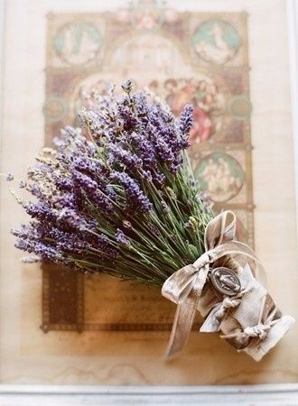 Lavanda