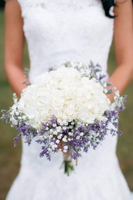 Lavanda