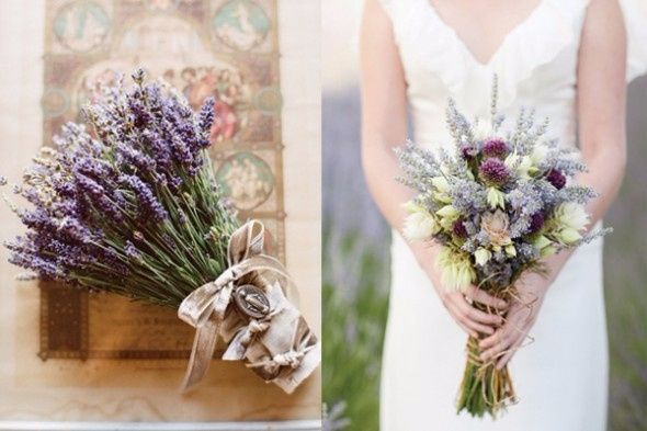 Lavanda