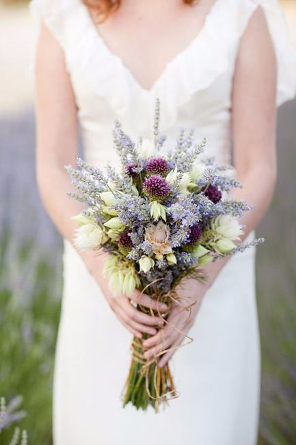 Lavanda