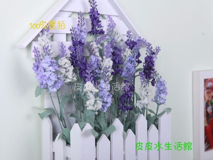 Lavanda