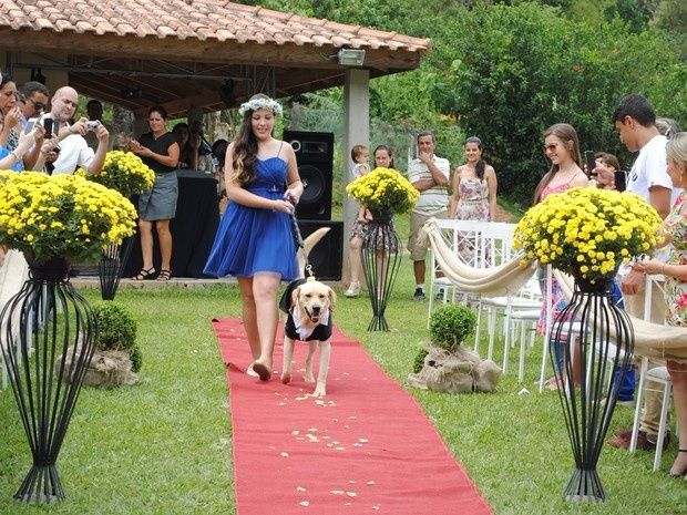companhia 4 patas