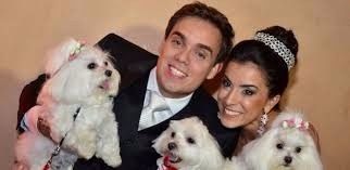 companhia 4 patas