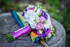 arco iris
