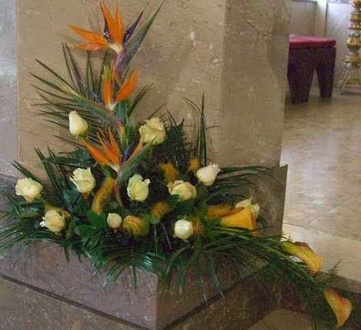 Estrelícias