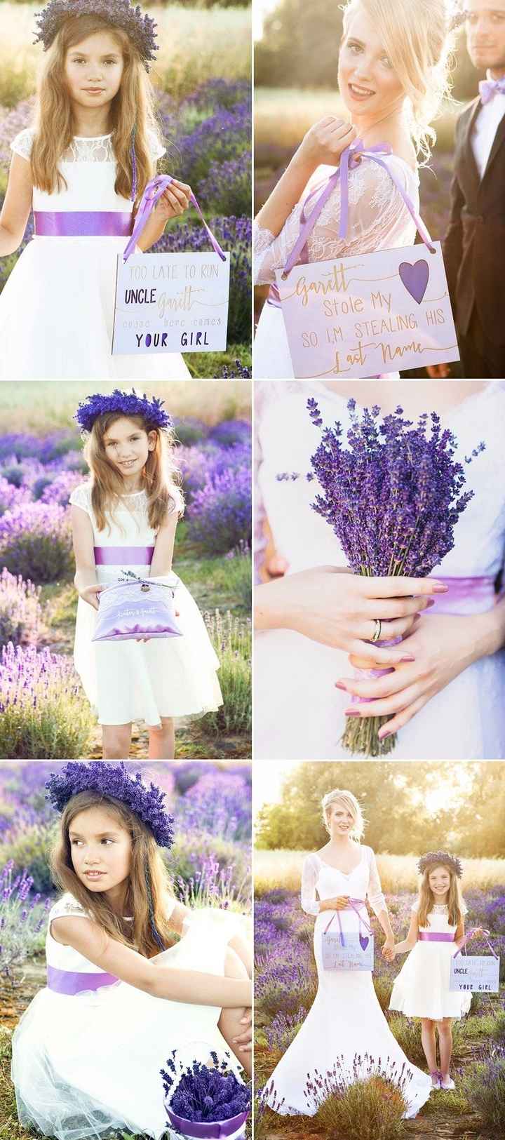 Lavanda