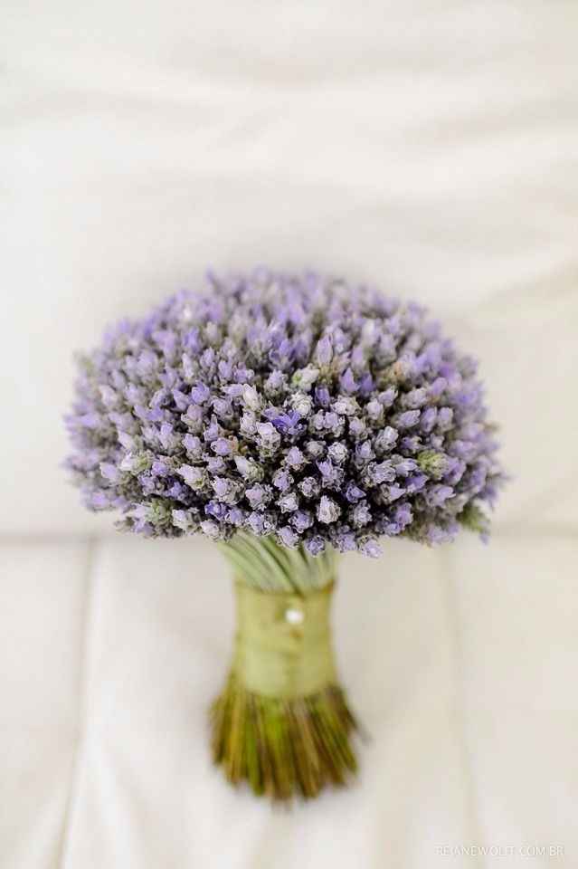 Lavanda