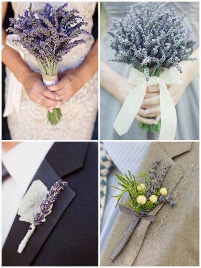 Lavanda