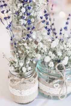 Lavanda