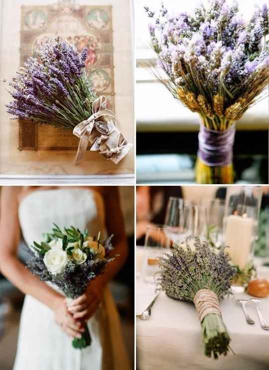 Lavanda
