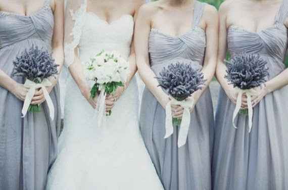 Lavanda