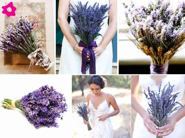Lavanda