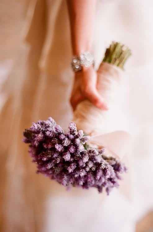 Lavanda