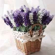 Lavanda