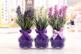 Lavanda