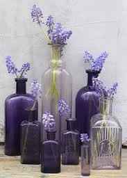 Lavanda
