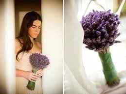 Lavanda