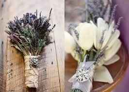 Lavanda
